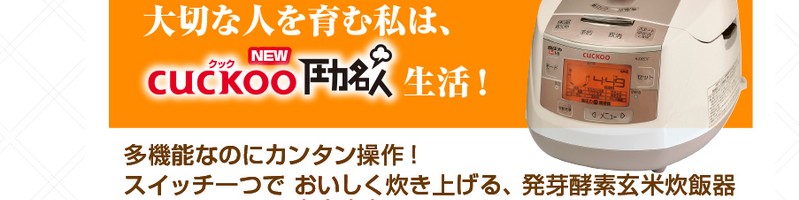 ����y�f���Đ��ъ�@�m�������͖��l���T�C�g